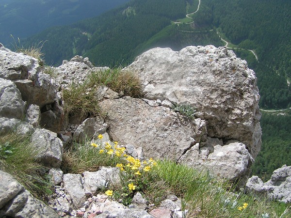 RAXALPE - FERRATA HAID-STEIG